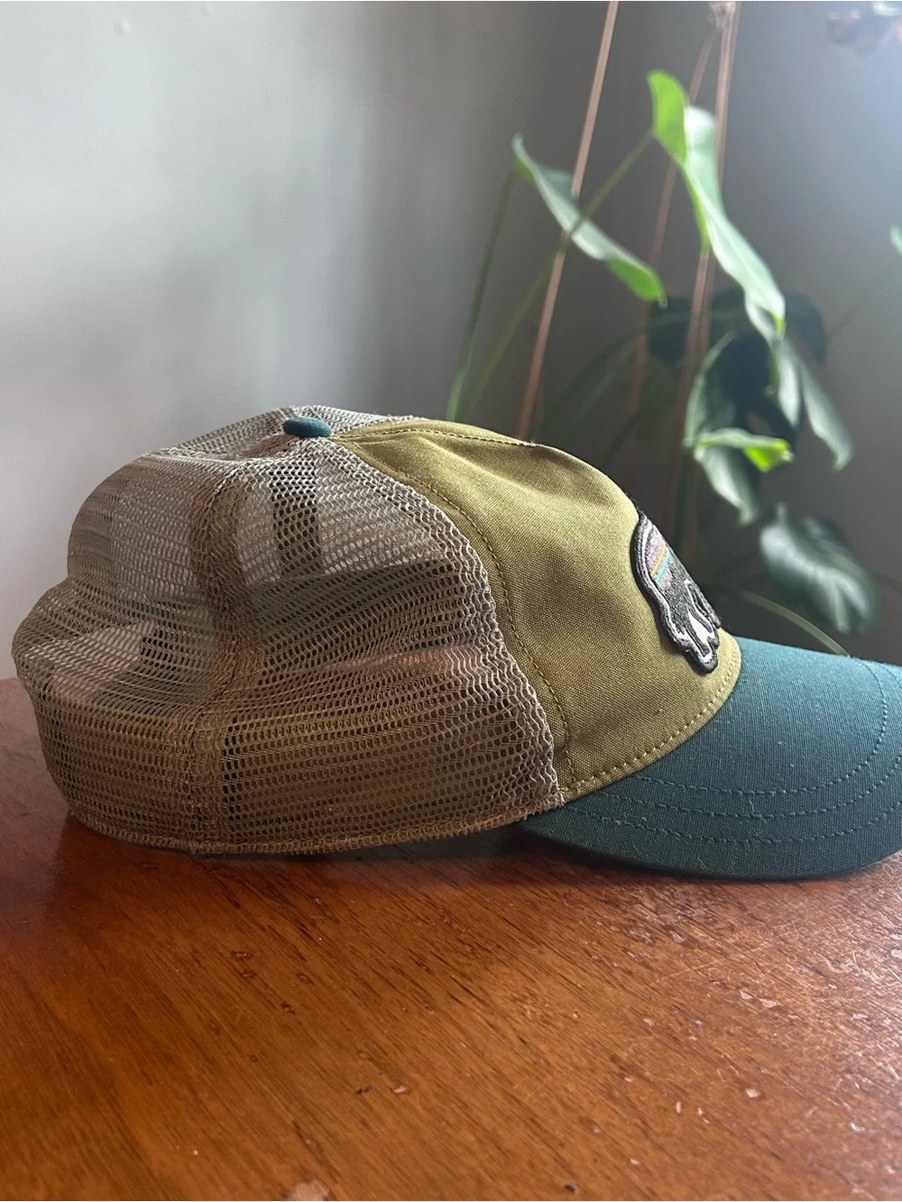 Patagonia dope fitz
